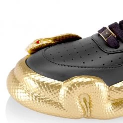 Giuseppe Zanotti Cobra Sole Lace-Up Sneakers For Men Black Gold -Rosantica And Giuseppe Zanotti shop unnamed file 548